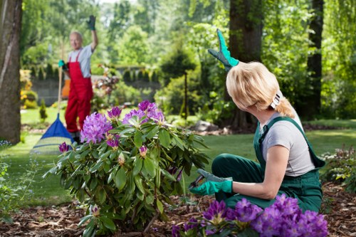 Gardeners Cann Hall improving a front garden with seasonal care
