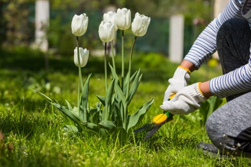 Aeration and soil improvement for lawn care in Cann Hall