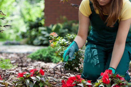 Risk assessment carried out before gardening work begins