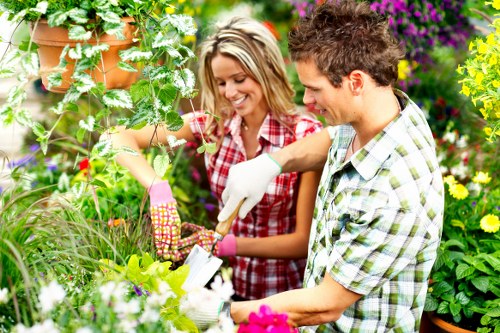 Professional lawn care in Cann Hall for a greener outdoor space