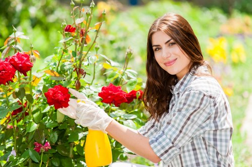 Front garden landscaping ideas for Cann Hall homes