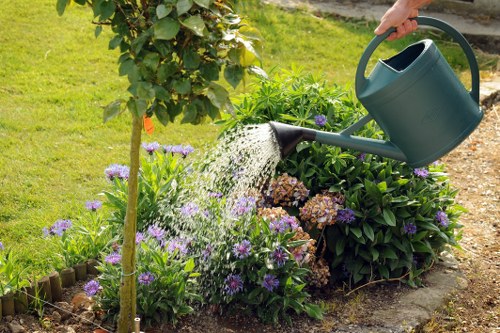 Professional garden maintenance in Cann Hall during the growing season