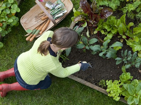 Low-maintenance Cann Hall garden design with paving and shrubs
