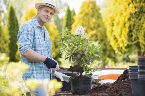 Seasonal garden upkeep and planting in Cann Hall