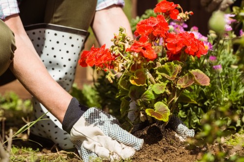 Free garden quote example for a Cann Hall property