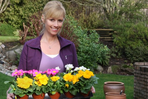 Garden maintenance visit with planning and booking details
