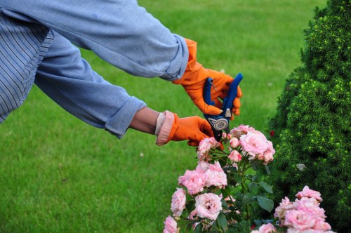 Local Cann Hall gardener clearing leaves and maintaining a neat outdoor space
