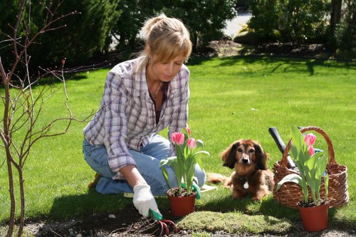 Professional garden maintenance in Cann Hall for neat borders and planting